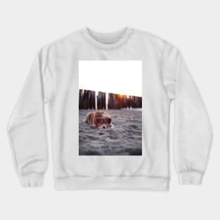 Dog at the beach Crewneck Sweatshirt